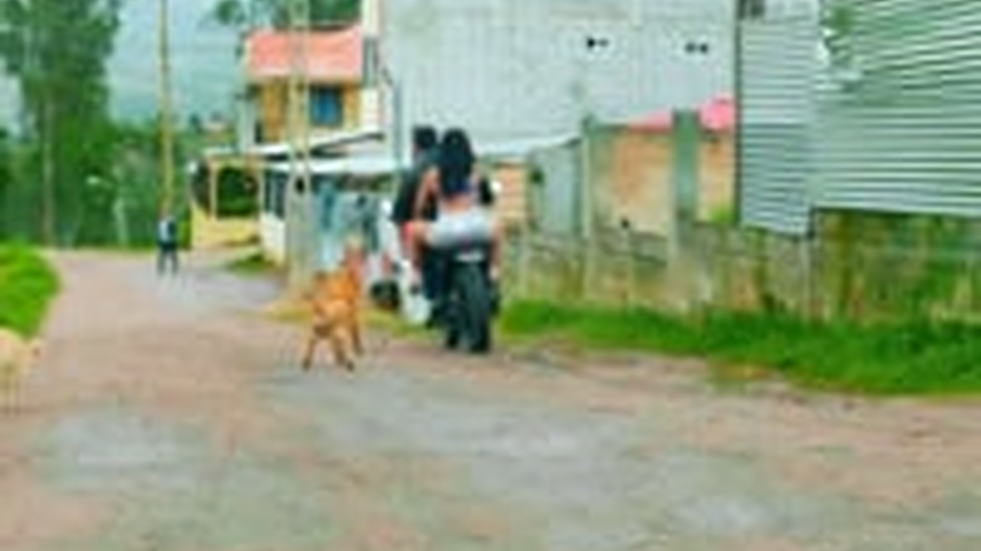 H0001041_Encuentra su Padre trabajando en las calles de_part2