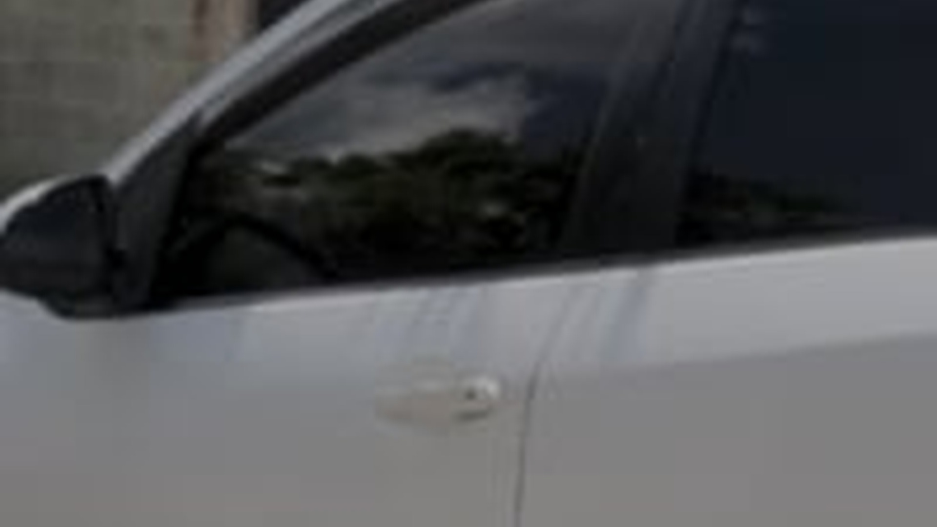 H0001028_Por Envidia, Pintó el Auto Nuevo de su Vecina_part2